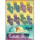 Opal Fantastic Sky 6-ply - 11220