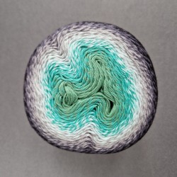 Scheepjes Whirl - 785 Minty Black Velvet