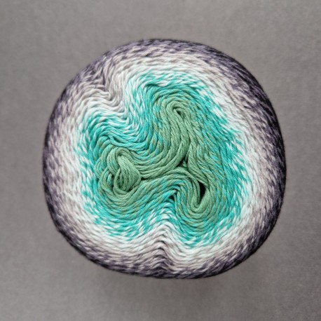 Scheepjes Whirl - 785 Minty Black Velvet