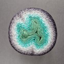 Scheepjes Whirl - 785 Minty Black Velvet