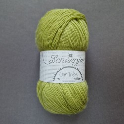 Scheepjes Our Tribe - 878 Pistachio Branch
