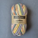 Scheepjes Arcadia Jacquard - 1001 Thisledown