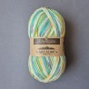 Scheepjes Arcadia Jacquard - 1003 Seastone