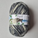 Opal Regenwald 21 4-ply - 11604
