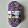 Opal Regenwald 21 4-ply - 11601